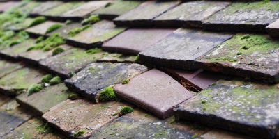 Easter Compton roof repair costs